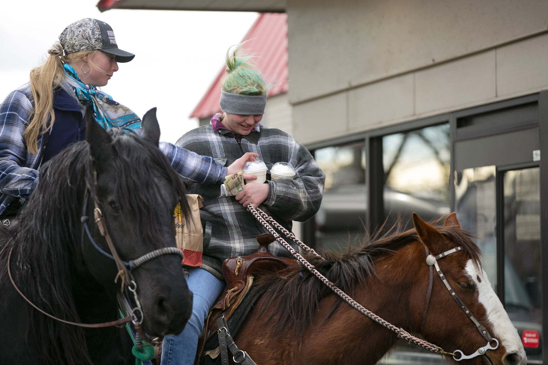Hardee's horses